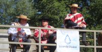 Luis Aguayo y el lleno en la final de Villarica: Demuestra que el Rodeo está más vivo que nunca