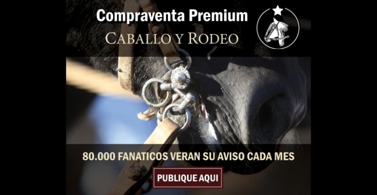 ¡Úsalos! Compraventa y Bolsa de Empleo están disponibles para los usuarios de CaballoyRodeo