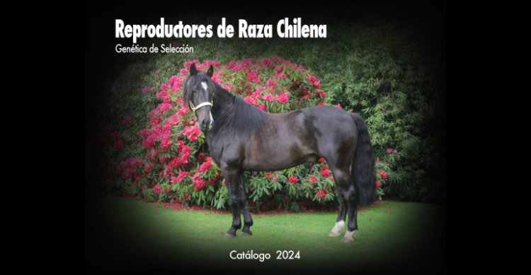Mundo Corralero lanzó el libro