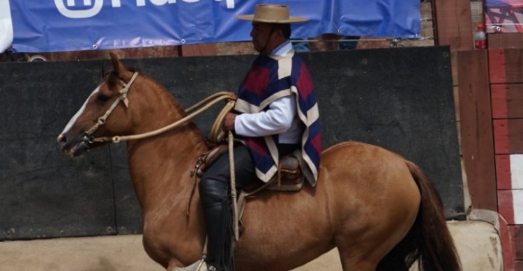 Luis Eduardo Cortés y el premio en la Palmeña: Es una yegua emblemática