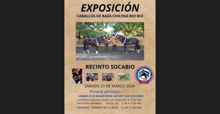 Criadores de Bío Bío dirán presente con Expo en el XXXII Campeonato Nacional de Fenaro