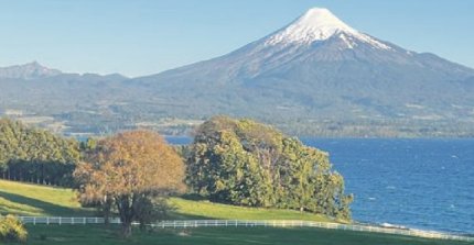 Criadero Laderas del Llanquihue sale a remate este martes