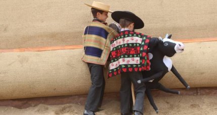 Reglamento de la Serie Caballitos de Palo Rancagua 2024