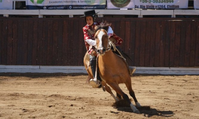 Brayan Medina, ganador de la rienda en San Carlos: Mi sueño es ser campeón de Chile