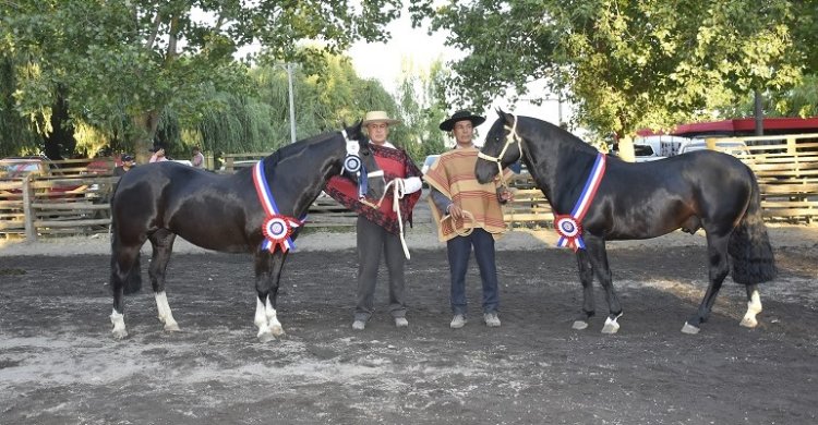 Expo Bío Bío fue adelantada para este viernes dentro del Campeonato Nacional de Fenaro