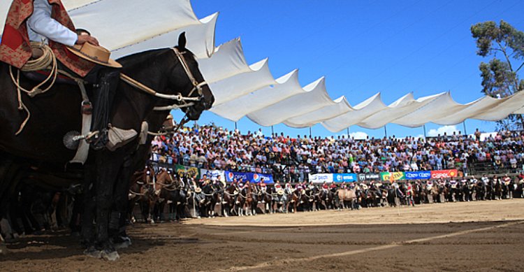 Clasificatorio de Melipilla será transmitido por Rodeo en Vivo y Campo Abierto