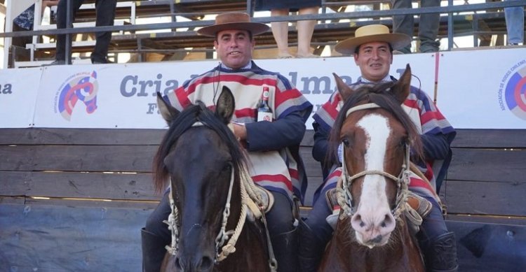 Quillota, Melipilla y O'Higgins fueron las asociaciones más premiadas en Chocalán