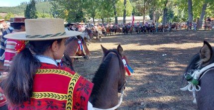 Aparta de Ganado llegó a Curanilahue con competencia promocional en entretenida jornada