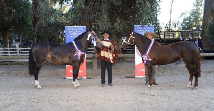 Solemne y Arista conquistaron los máximos premios en la Expo Ferocam