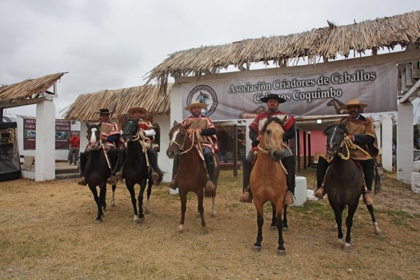 Expo Coquimbo reunirá un buen número de participantes de la Región este sábado