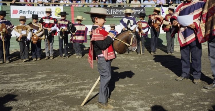 La Serie Caballito de Palo y los promisorios conceptos corraleros