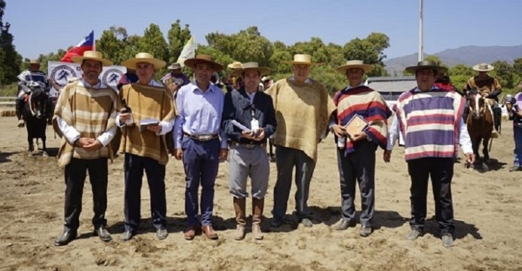 Jurados chilenos de Rienda asistirán a capacitación en Final Nacional de Argentina