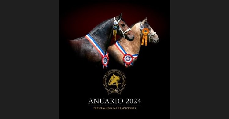 Criadores: Anuario 2024, 