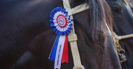 La Serie Promocional Femenina abrió los fuegos del Champion de Chile en las quinchas