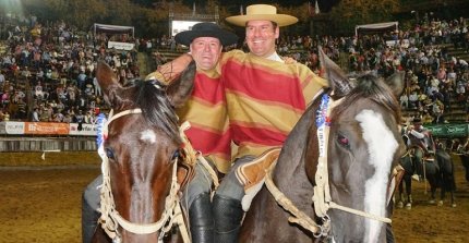 La sangre de los Campeones de Chile de Rodeo y Rienda avala su éxito