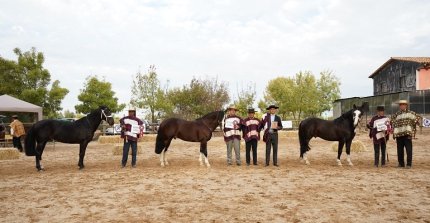 Los Grandes Premios de la Expo Cauquenes 2024