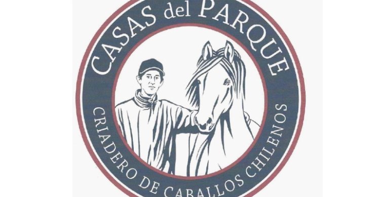 Criadero Casas del Parque sale a remate este miércoles con destacados hijos del Firpo