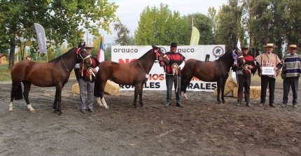 Los Grandes Premios de la Expo Ñuble 2024