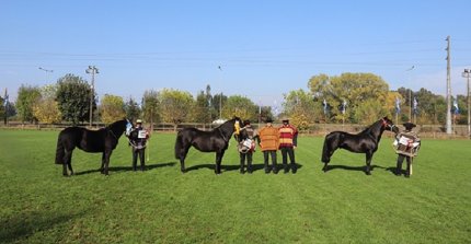 Recinto SOFO alberga este viernes la Exposición para los socios de Cautín