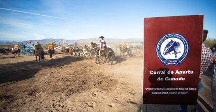 Criadores de Limarí animarán el 1 de mayo con Aparta de Ganado en Hacienda Las Peñas