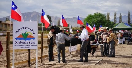 El trabajo de la Comisión Admisión en la Expo Atacama