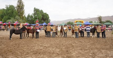 Asociación Atacama recibió importante donación de potrillos del Criadero Santa Ana