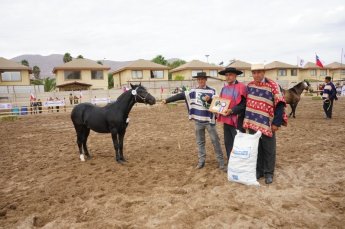 Criadero Santa Ana entregó potrillos a socios de Atacama en emotiva ceremonia