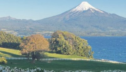 Criadero Laderas del Llanquihue tiene un atractivo remate este martes