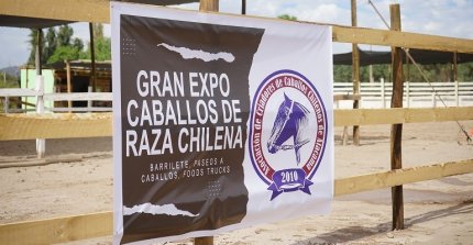 El resumen en imágenes de la gran jornada de los Criadores de Atacama