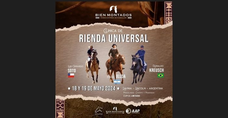 Tres grandes del trabajo con caballos se unen en Clínica de Rienda Universal