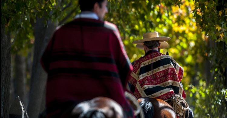 Benjamín Moreno y proyecto que declara al rodeo como deporte nacional: Es un tremendo paso