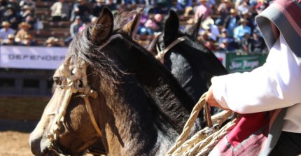 Cámara de Diputados inició discusión plenaria del proyecto de ley que declara al rodeo como deporte nacional