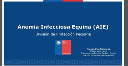 SAG difundió importante información sobre la Anemia Infecciosa Equina