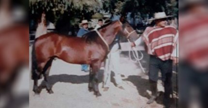 Falleció el Campo Bueno II, campeón de Chile con José Manuel Pozo en 1998