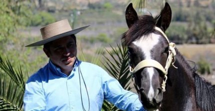 José Alejandro Huerta: "El Caballo Chileno más que una linda pasión, es una forma de vida"