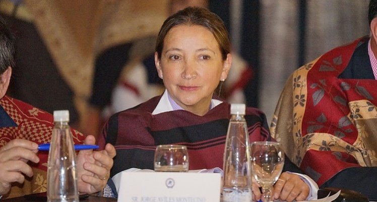 Carola Luengo: 