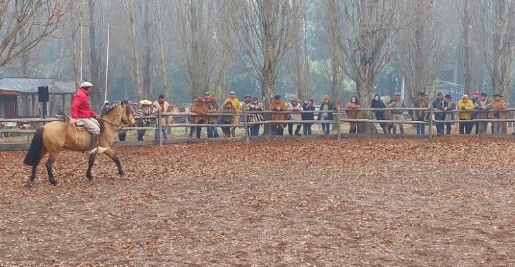 Criadores de Aysén vivieron tres provechosas jornadas con clínica de Rodrigo Castell