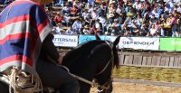 [VIDEOS] Los múltilpes saludos por el 63° aniversario de la Federación del Rodeo Chileno