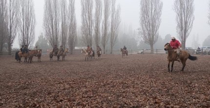 Participantes destacaron los conocimientos aprendidos en Clínica de Rienda realizada en Coyhaique