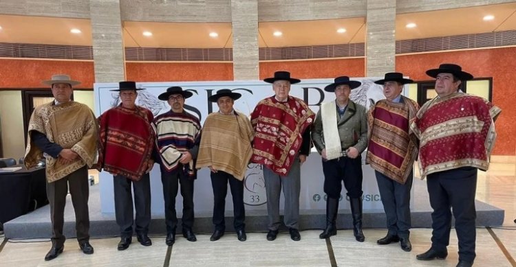 Consejo Técnico se centrará en conocer alternativas para el Caballo Chileno en el extranjero