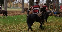 Criadores de Cordillera realizaron muestra de caballos y actividad con arrieros