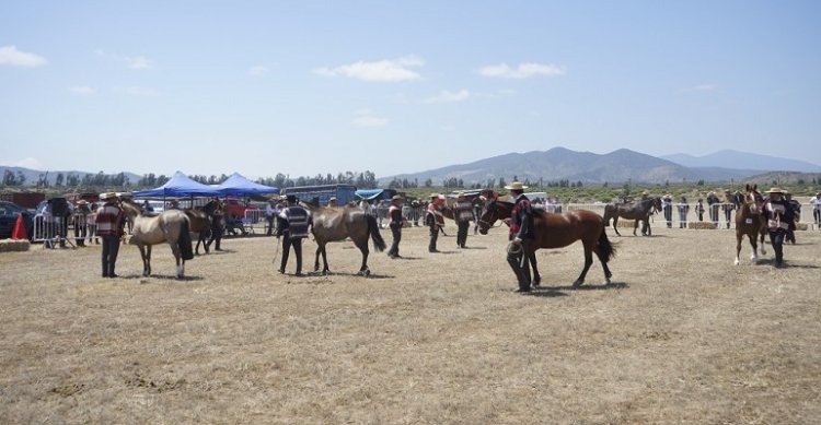 Cuerpo de Jurados de Exposiciones tiene cuatro nuevos integrantes