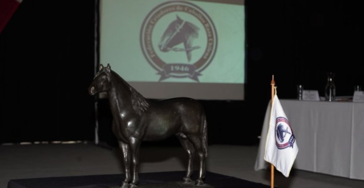 Cauquenes y Ñuble asumieron los grandes eventos de los Criadores para 2026