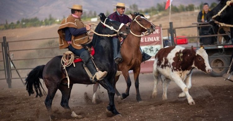 Competencias de Invierno: Pruebas Funcionales de Limarí generan alto interés
