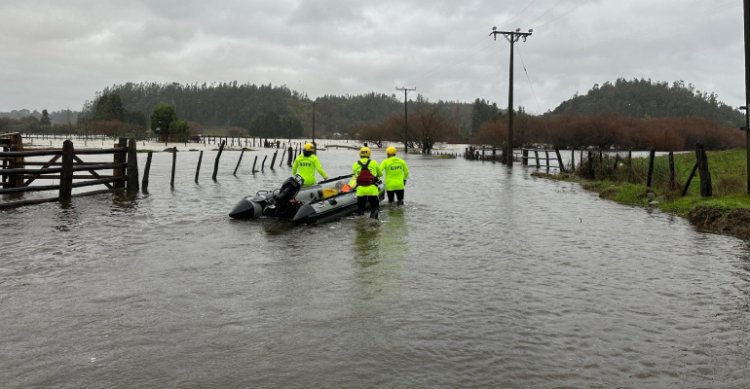 Asociaciones de Criadores de Arauco y Concepción monitorean a sus socios en medio del temporal