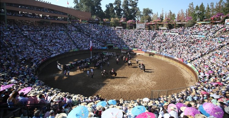 Federación del Rodeo Chileno realizó encuesta sobre el Campeonato Nacional