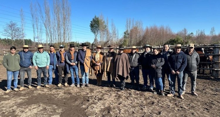 Clubes de Huasos de Yumbel buscan sumarse a la crianza del Caballo Chileno y Pruebas Funcionales