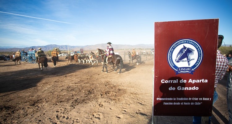 Competencias de Invierno: El programa de las Pruebas Funcionales de la Asociación Limarí