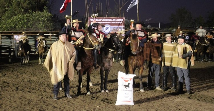 Las voces de los ganadores de la Aparta de Ganado en Ovalle