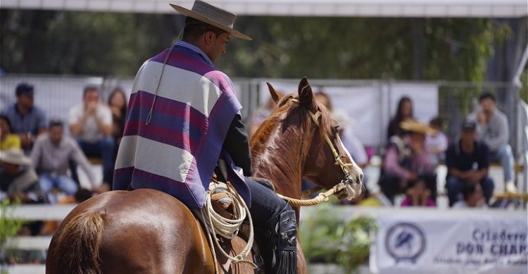 Competencias de Invierno: Inscripciones para la Rienda sin Fronteras en San Fernando
